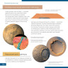 Телескоп LEVENHUK DISCOVERY SPARK TRAVEL 60 с книгой 78742